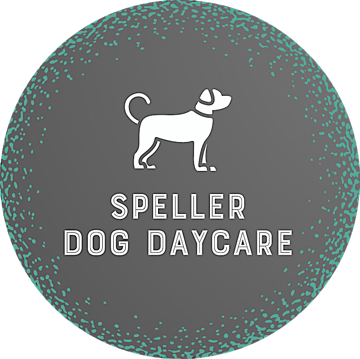 Speller Dog Daycare